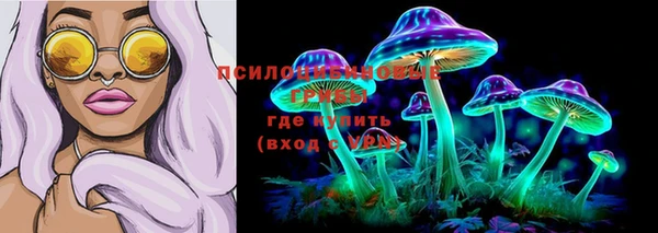 гидропоника Гусиноозёрск