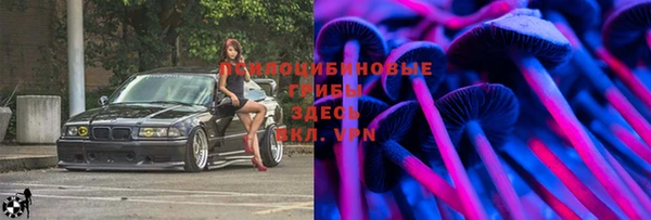 гидропоника Гусиноозёрск