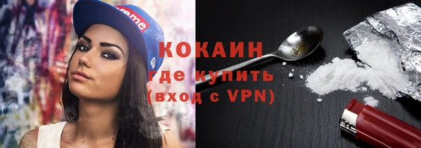гидропоника Гусиноозёрск