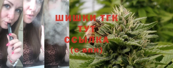 гидропоника Гусиноозёрск