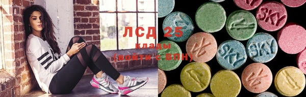 гидропоника Гусиноозёрск