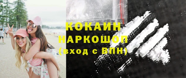 гидропоника Гусиноозёрск