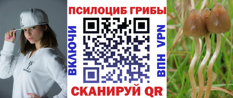 Галлюциногенные грибы прущие грибы  Купить где  Карабаш 